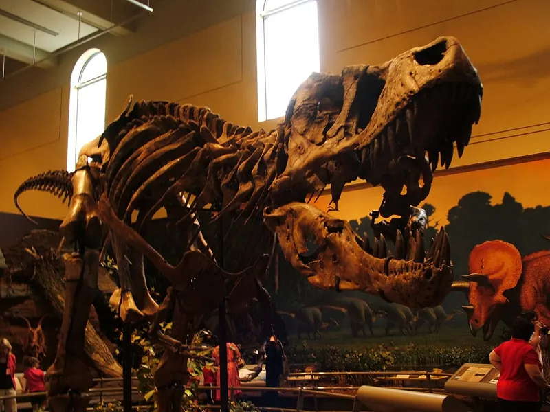 The T. rex type specimen mounted in a hall at the Carnegie Museum of Natural History